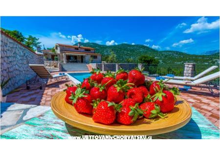 the Melody of Nature foto 3