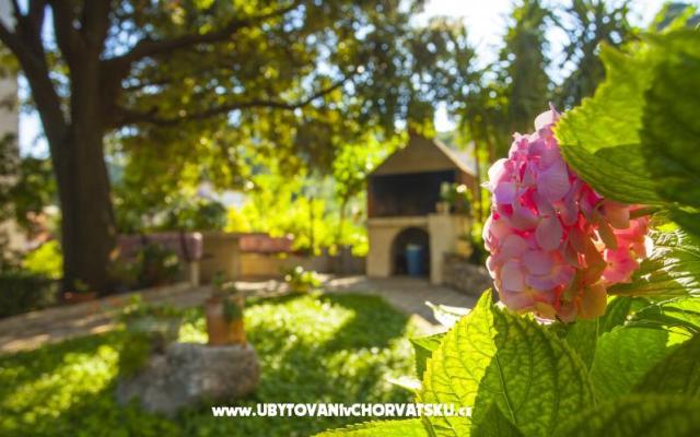 Family Beroš Friendly Place - nocleg Baska Voda Chorwacja
