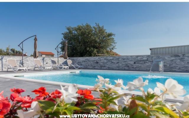 Apartamenty Martin - nocleg Bibinje Chorwacja