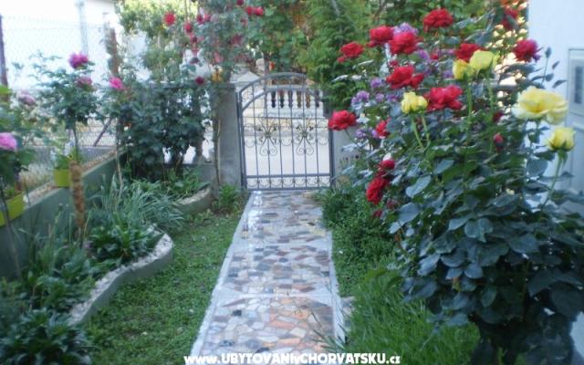 Apartamenty Nada - nocleg Bibinje Chorwacja