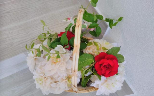 Apartament Betty - nocleg eiland Brac Chorwacja