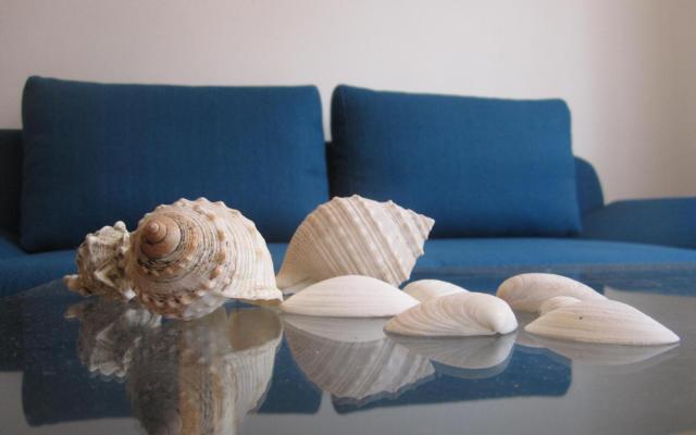 Apartamenty Škiljan - nocleg Crikvenica Chorwacja