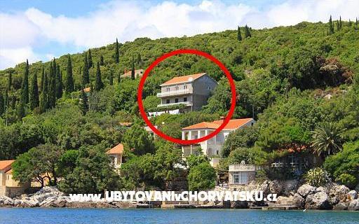 Apartamenty Antunović - nocleg Dubrovnik Chorwacja