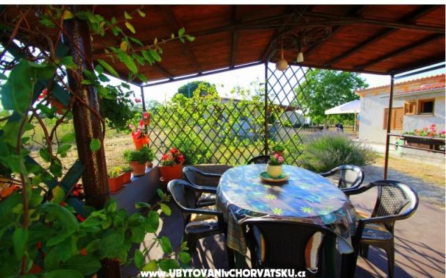 Apartament Sandra  - nocleg Fazana Chorwacja