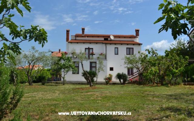 Vila Nona Ivka - nocleg Fazana Chorwacja