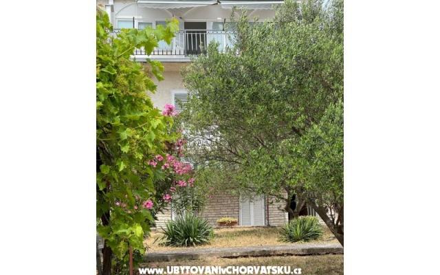 Apartamenty Maslina - nocleg Sv. Filip i Jakov Chorwacja