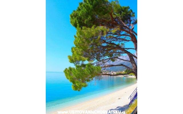 Apartamenty Helena - nocleg Gradac – Podaca Chorwacja