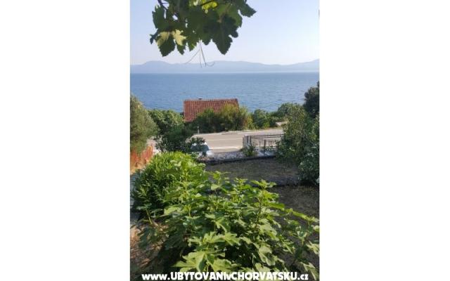 Dom Maslina - nocleg Gradac – Podaca Chorwacja