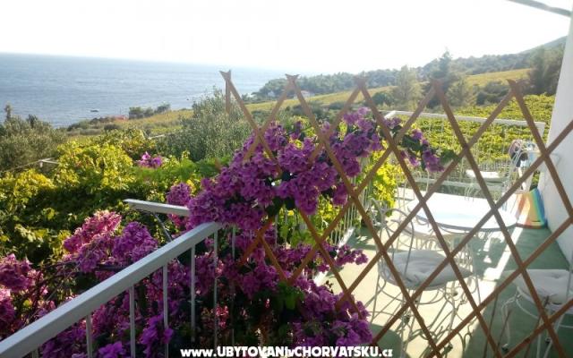 ART AND NATURE  - nocleg eiland Hvar Chorwacja