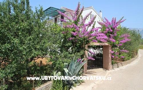 Apartamenty Rolanda - nocleg eiland Hvar Chorwacja