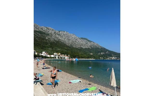 Apartamenta LoTe - nocleg Igrane Chorwacja