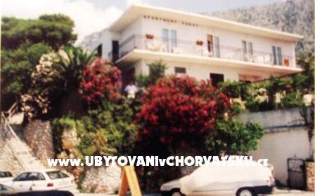 Vila Vinka - nocleg Igrane Chorwacja