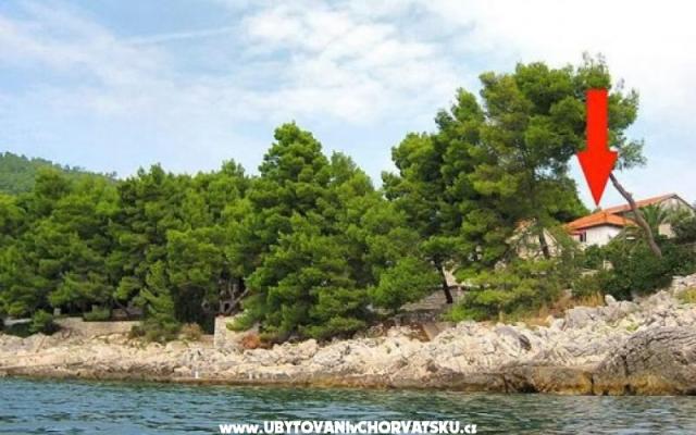 Dom wakacyjny Villa Antea - nocleg Korcula Chorwacja