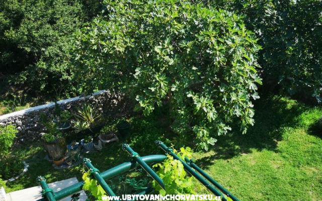 Apartamenty Garden paradise - nocleg Makarska Chorwacja