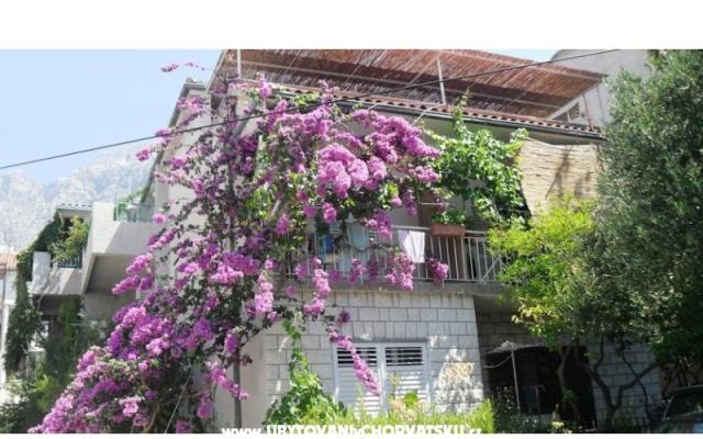 Apartamenty KATE - nocleg Makarska Chorwacja