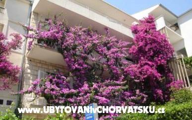 Apartamenty Jele - nocleg Makarska Chorwacja