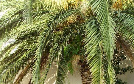 Silva apartments - nocleg Makarska Chorwacja