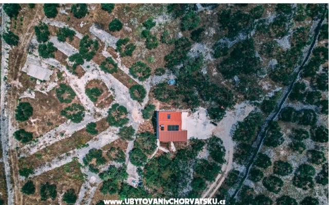 Green Dom (Dogs are welcome) - nocleg Marina - Trogir Chorwacja