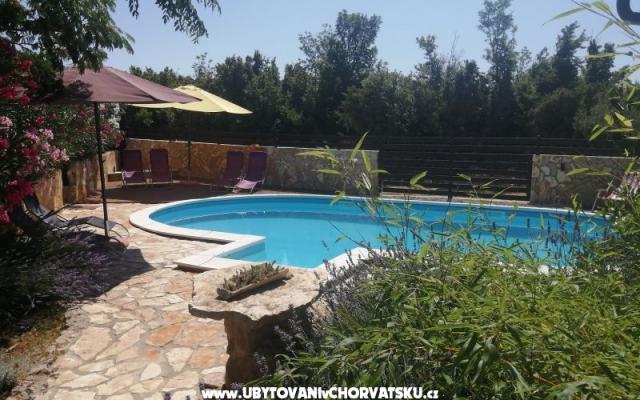 Sunny pool Apartamenty - nocleg Maslenica Chorwacja