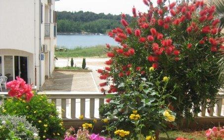 Apartamenty Soldo - nocleg Medulin Chorwacja