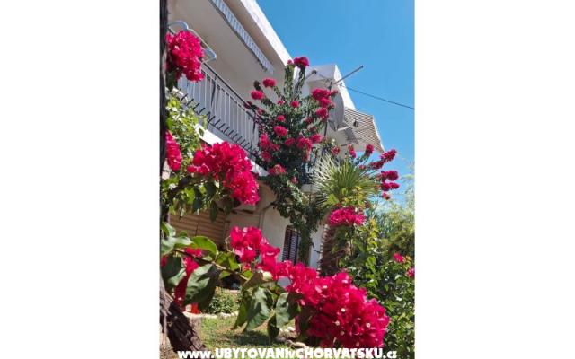 Apartamenty Sokolić - nocleg Novi Vinodolski Chorwacja