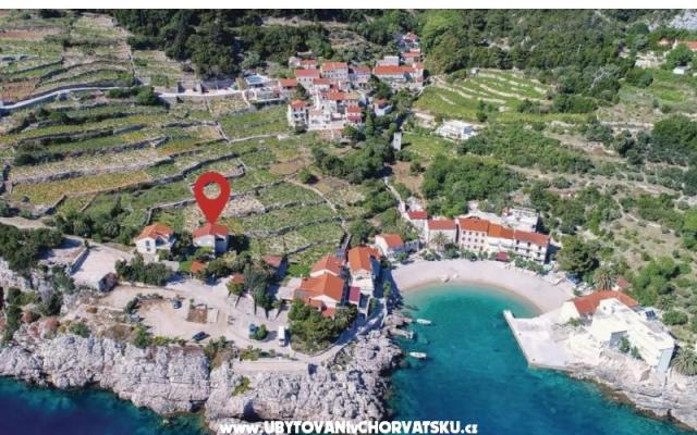 Two olive trees - nocleg Orebic – Peljesac Chorwacja