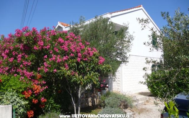 Apartamenty Suzana - nocleg eiland Pasman Chorwacja