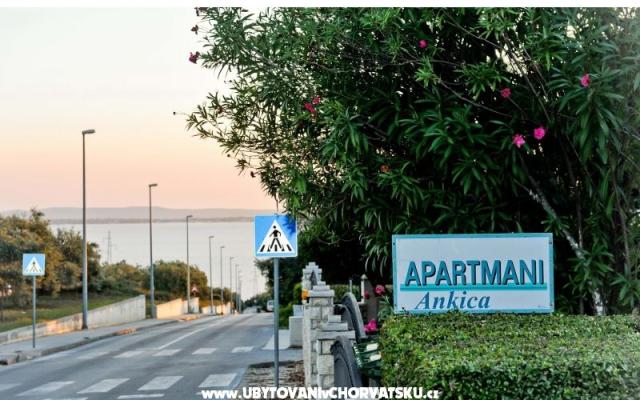 Apartamenty Ankica - nocleg Petrcane Chorwacja