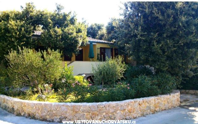 Apartamenty Dani - nocleg Petrcane Chorwacja