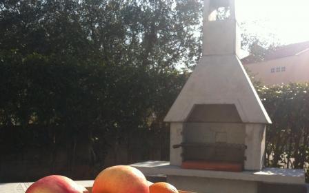 Apartamenty 2a - nocleg Petrcane Chorwacja