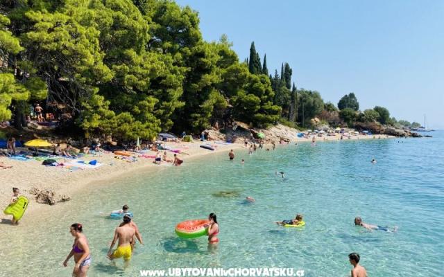 Villa Ana , one min walk to beach - nocleg Pirovac Chorwacja