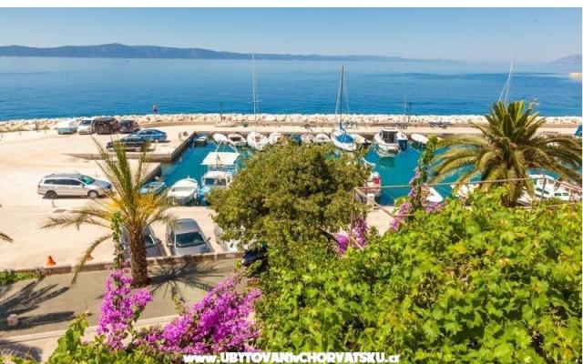 Apartamenty Bono - nocleg Podgora Chorwacja