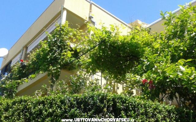 Villa Buvinic - nocleg Podgora Chorwacja