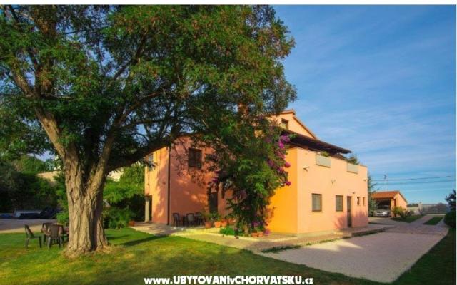 Apartamenty Viktor - nocleg Pula Chorwacja