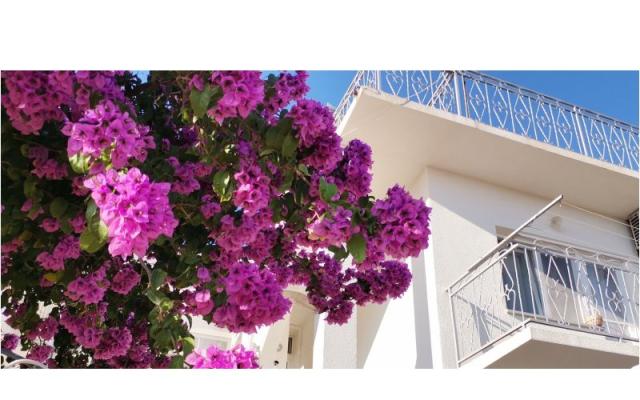 Apartament Mare - nocleg Sibenik Chorwacja