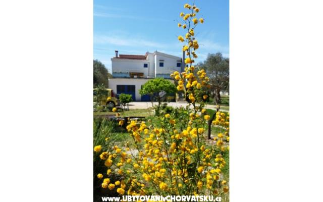 Apartament Marin - nocleg Sveti Petar Chorwacja