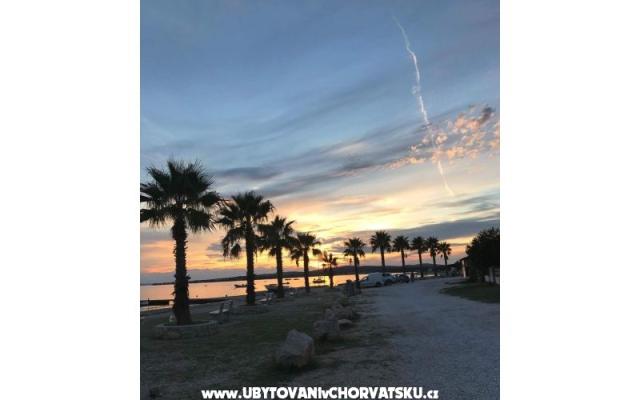 Apartamenty Robi - nocleg eiland Vir Chorwacja