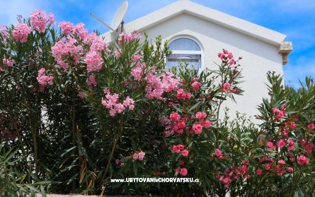 Apartamenty Podlesek - nocleg eiland Vir Chorwacja