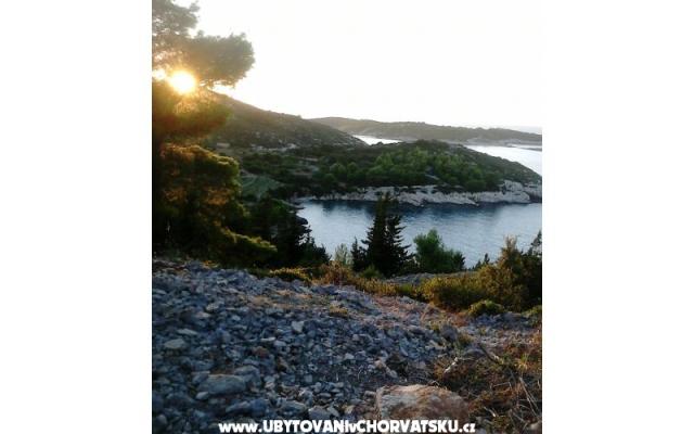 Apartamenty Bilić - nocleg eiland Vis Chorwacja