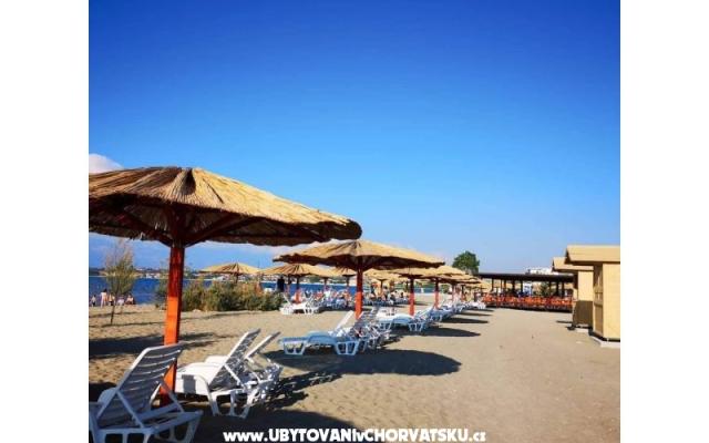 Apartament Selma, Nin   - nocleg Zadar Chorwacja