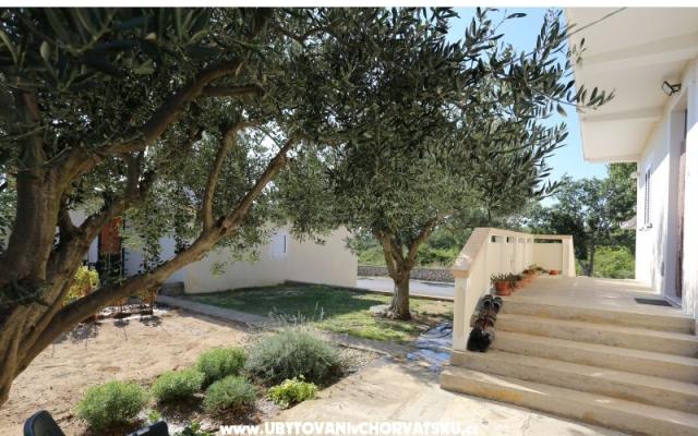 Apartament Radobuljac Vrsi  - nocleg Zadar Chorwacja