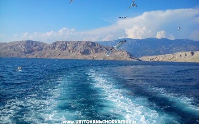 Apartamenty Joso i Stanka - nocleg Zadar Chorwacja