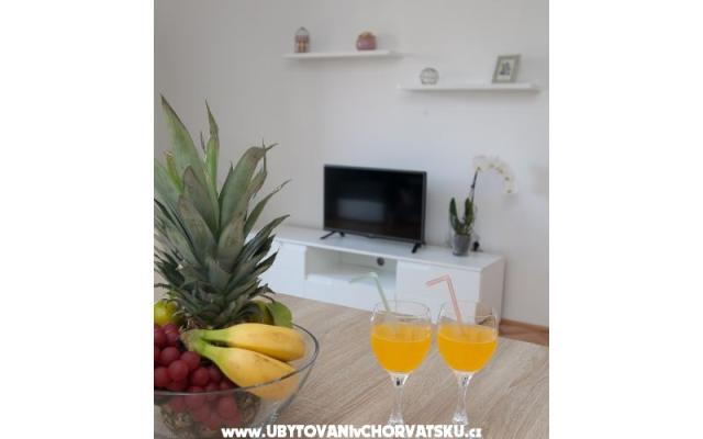 Apartament "Roko" - nocleg Zadar Chorwacja