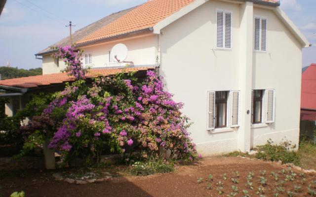 Dom Branka - nocleg Zadar Chorwacja