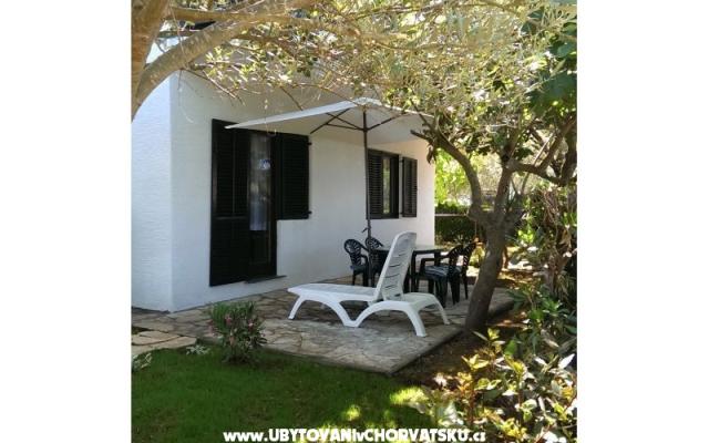 Nevena Apartamenty - nocleg Zadar Chorwacja