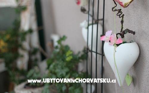 Olive Garden Zadar - nocleg Zadar Chorwacja