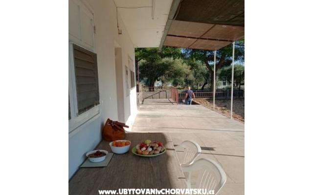 Apartament Viter - nocleg Zaostrog Chorwacja