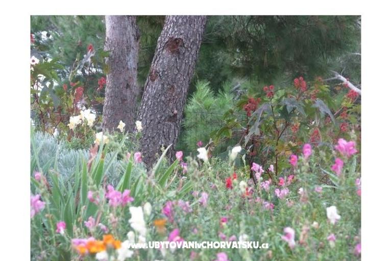 Ana Apartamenty – foto 10