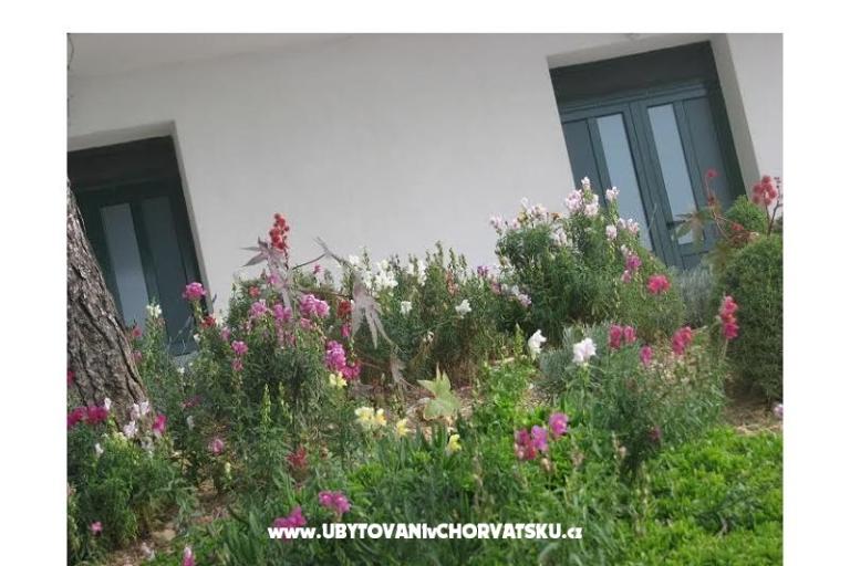 Ana Apartamenty – foto 11