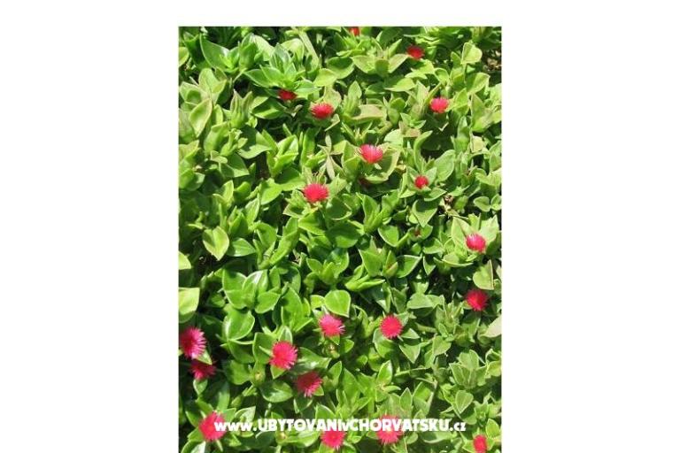 Ana Apartamenty – foto 12